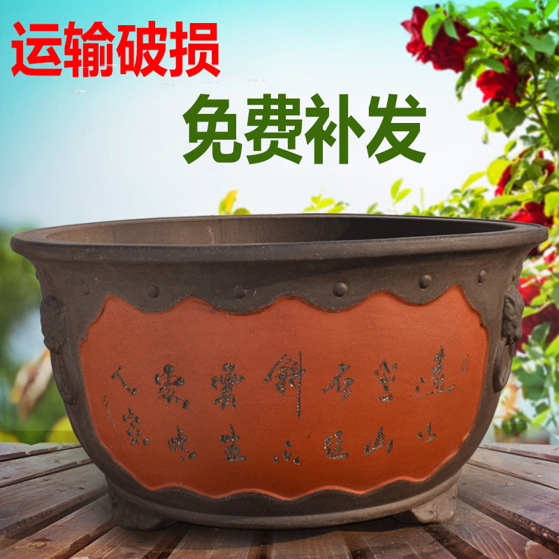 大花盆特大号庭院室外种树盆景紫砂花盆超大口径矮扁圆形陶瓷花缸