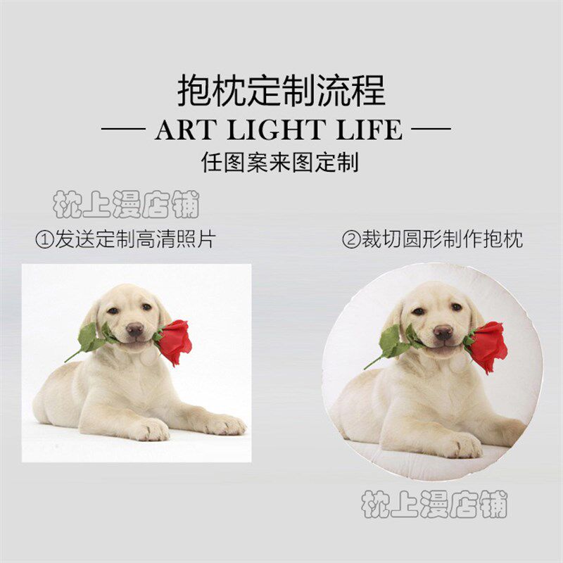 圆形抱枕diy定制logo靠枕公司礼物文字动漫卡通照片图案沙发靠垫