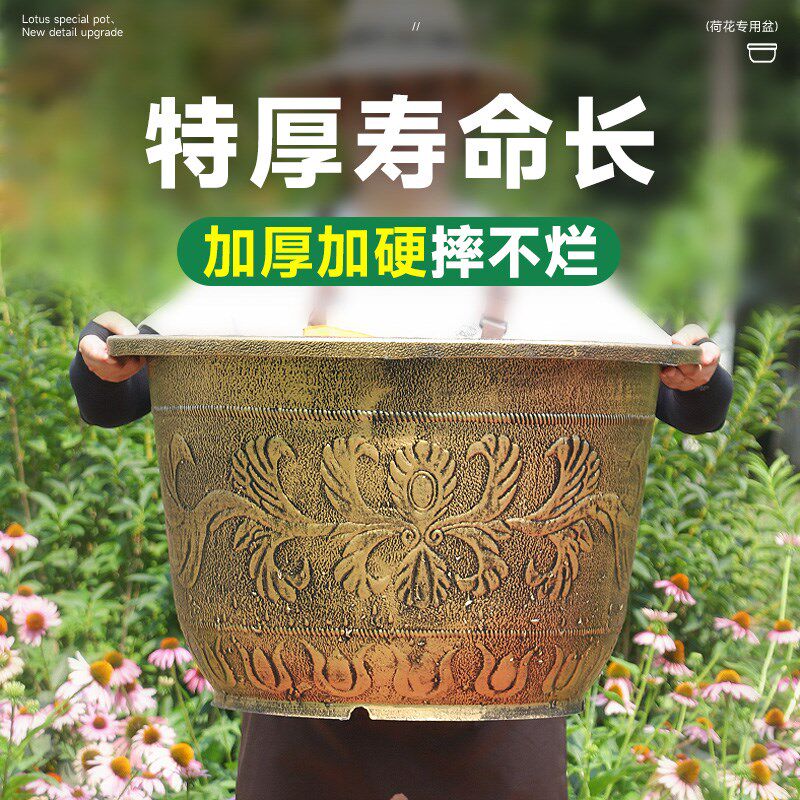 养睡莲荷花特大号塑料加厚耐晒花盆缸莲藕铜钱草水培碗莲无孔种植