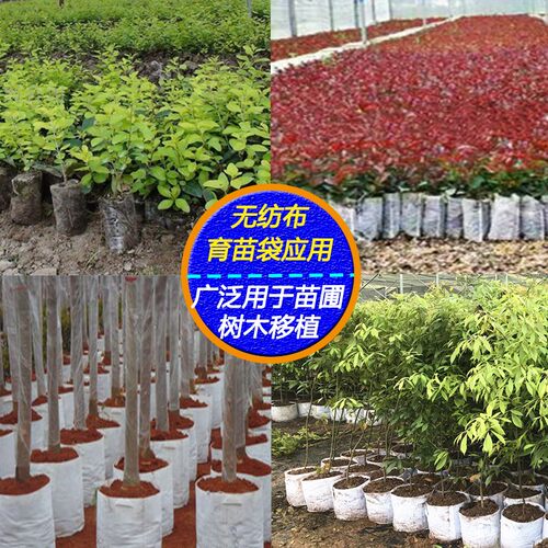 可降解无纺布育苗袋 加厚营养杯适用于树苗种植 多尺寸营养袋选择