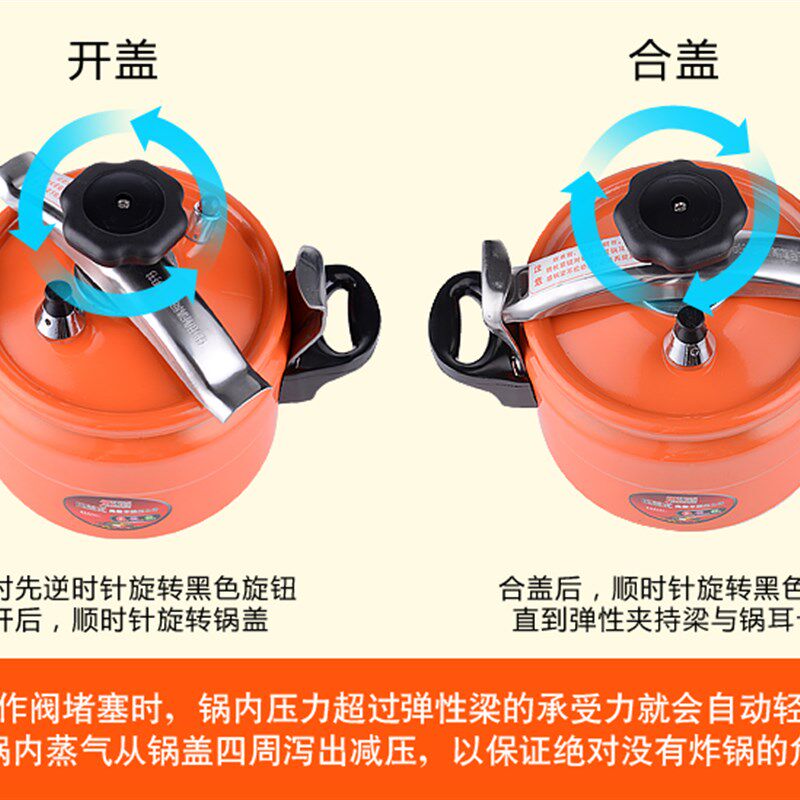 彩色迷你压力锅防爆商用小号烧烤网红生蚝锅2升3升3.5升5升铝合金
