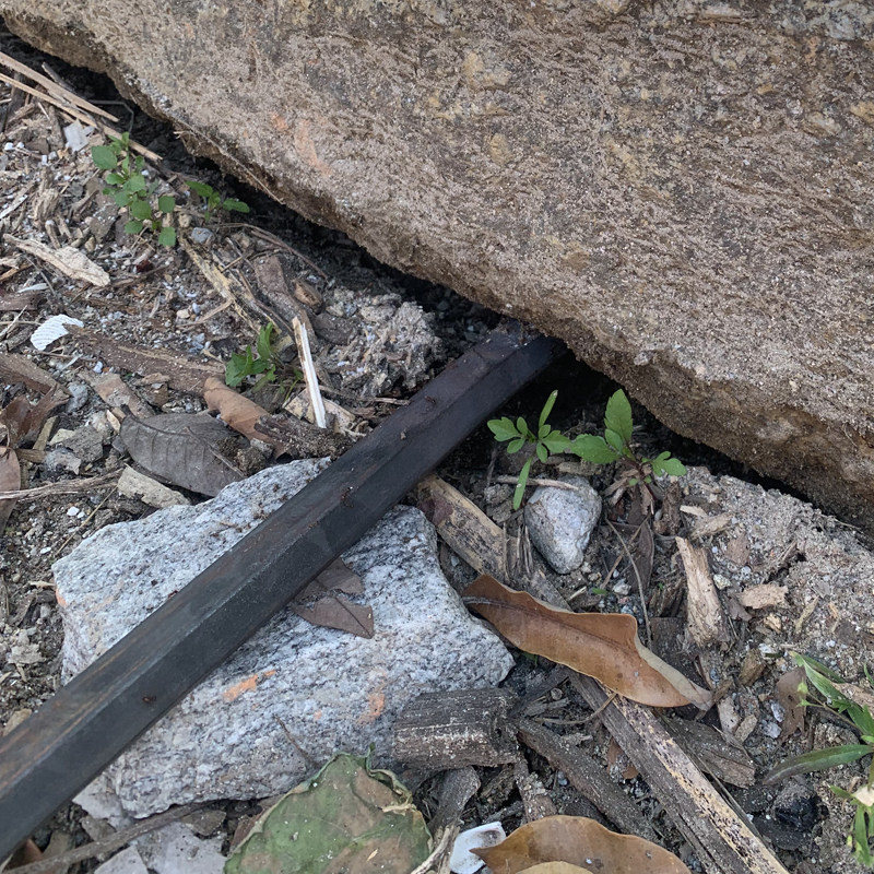 重型实心弹簧钢树铲挖洞移植种树挖土坑铲铁锹园艺林工具锹铲直锹