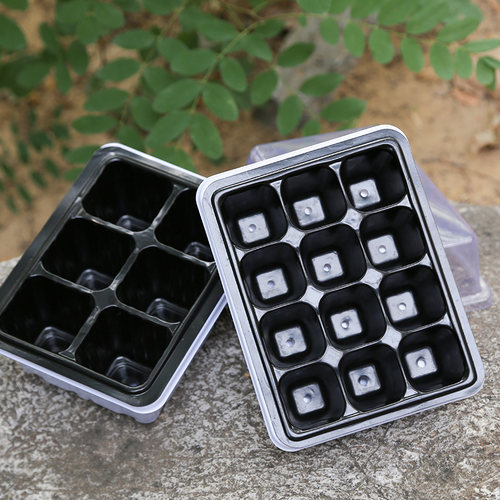 育苗神器穴盘营养杯塑料钵长方形托盘芽菜白菜扦插种植盒箱专用盆