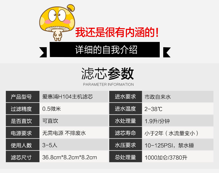爱惠浦净水器活性炭主滤芯净水机耗材自来水过滤器配件H-104滤芯
