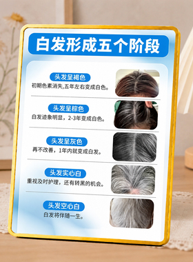 白发形成五个阶段科普展示牌养发馆养发店桌面装饰摆件