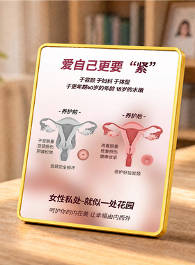 女性私处紧致产后护理科普摆件