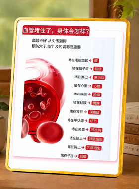 血管健康知识科普摆台养生馆门店桌面健康宣传装饰摆件