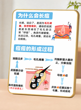 美容院痘痘成因护肤知识科普创意装饰摆台门店前台装饰摆件