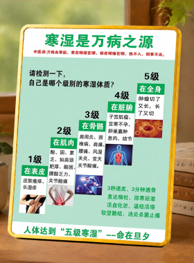 寒湿体质分级科普装饰摆件中医馆养生馆门店桌面宣传摆台