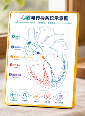 心脏电传导系统示意图医学科普心内科医院诊所装饰摆件