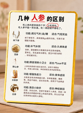 几种人参的区别知识科普装饰摆台中医馆养生馆桌面装饰摆件