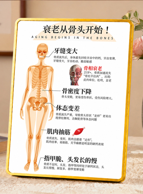 衰老从骨头开始养生科普展示牌养生馆中医馆桌面装饰摆件