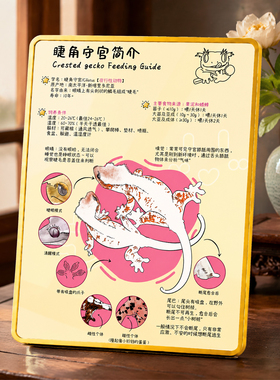 睫角守宫饲养简介科普装饰摆台爬宠门店桌面创意装饰摆件