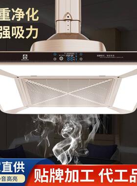 棋牌室吸烟灯直排吸烟神器麻将机空气净化器排烟机麻将灯升降吊灯