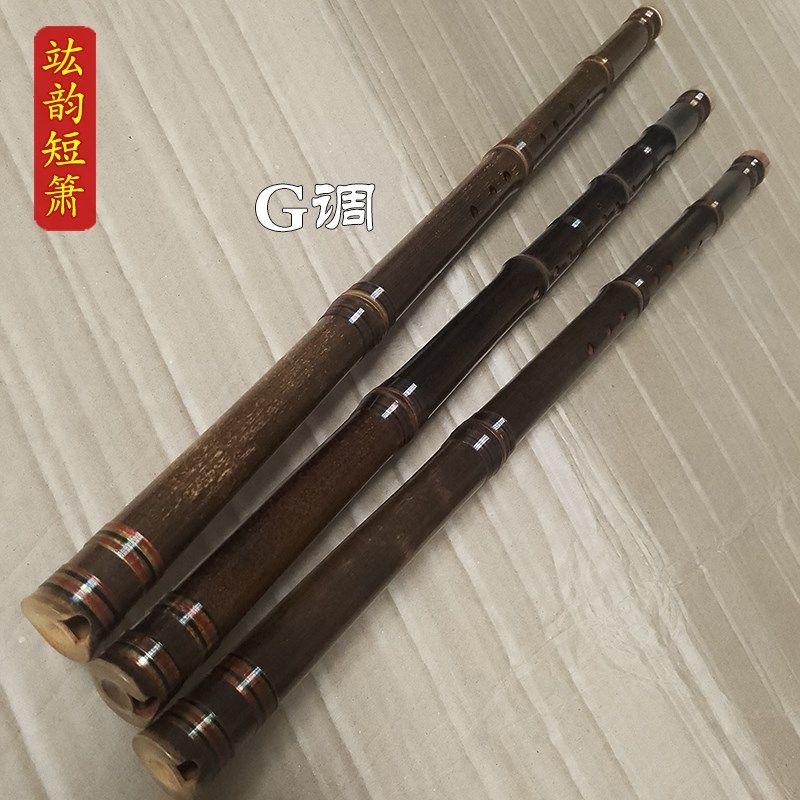 竑韵迷你吹奏乐器新手易学洞箫初学入门八孔竹萧专业级紫竹短箫