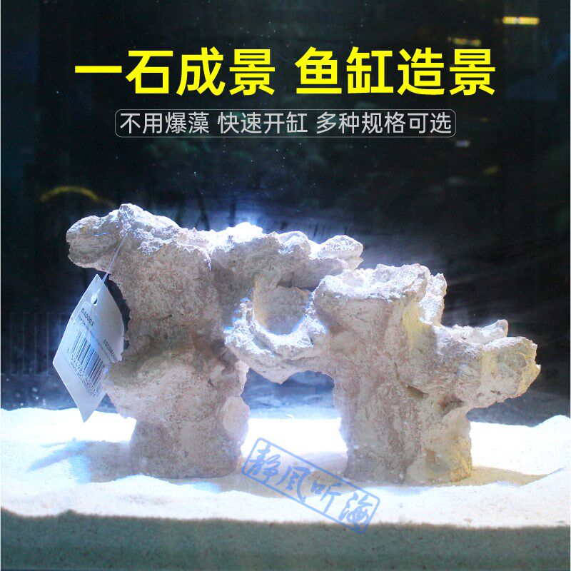 P牌 成品造景石 培菌石海缸珊瑚缸 免爆藻纽扣断枝座纽扣珊瑚底座