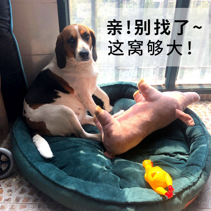 狗窝泰迪柯基大型小型犬四季通用可拆洗狗狗猫窝冬季保暖宠物垫子