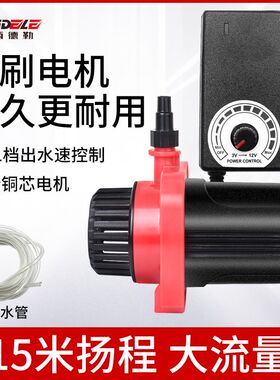 无刷电机水泵12V抽水泵机水钻小型家用开槽切割机微型水泵