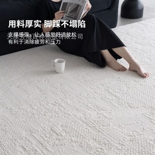客厅地毯极简高级设计感奶油风防水高端别墅家用隔音垫卧室床边毯
