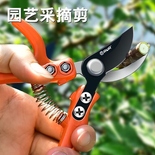 葡萄水果专用翘头修花剪树省力花艺园艺剪弹簧修枝剪摘果剪采摘