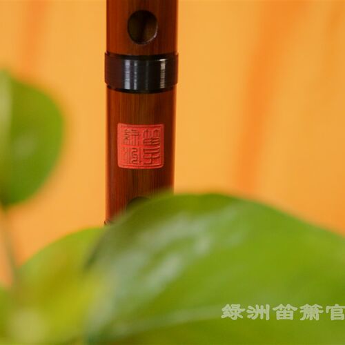 绿洲笛箫 笛子绿洲UP主 推荐 初学者 精致苦竹竹笛