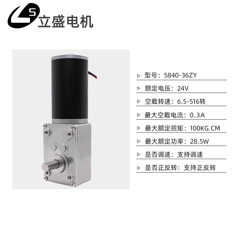 5840-36ZY直流减速电机微型自锁涡轮蜗杆调速低速马达12V24V