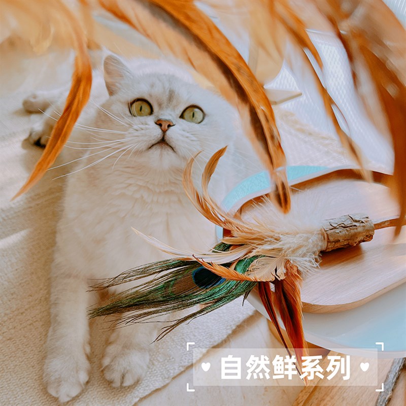 木天蓼山鸡羽毛逗猫棒杆猫咪旺农场宠物互动舒压解闷撸猫玩具用品