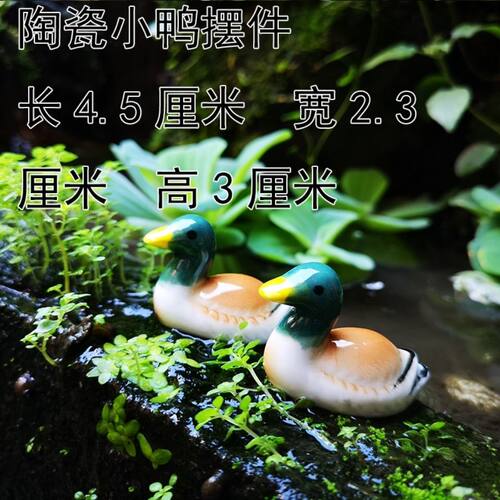 白鹅鸭子陶瓷鱼缸摆件鱼盆水池阳台荷花鱼池摆设动物园艺花盆装饰