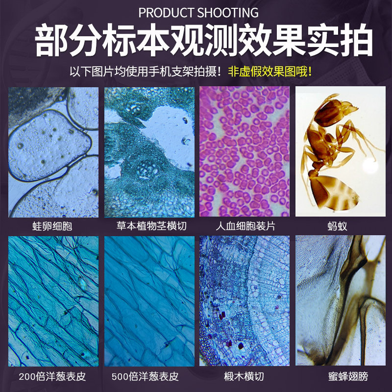 专业款显微镜电光源高倍光学生物5000倍10000倍检测科学实验