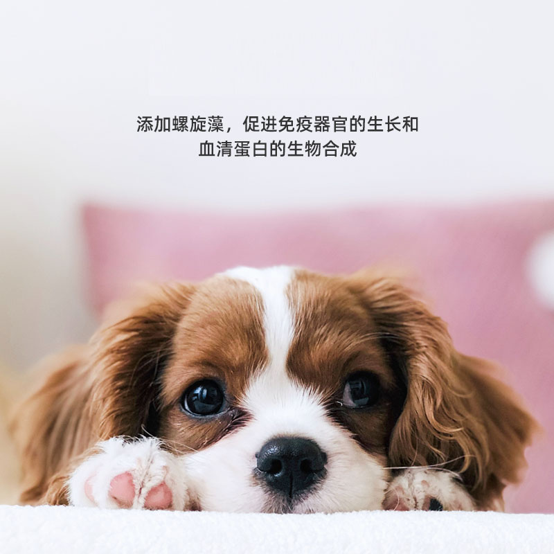 力狼狗粮1-6月幼犬专用泰迪金毛拉布拉多柯基比熊奶糕通用型3斤装