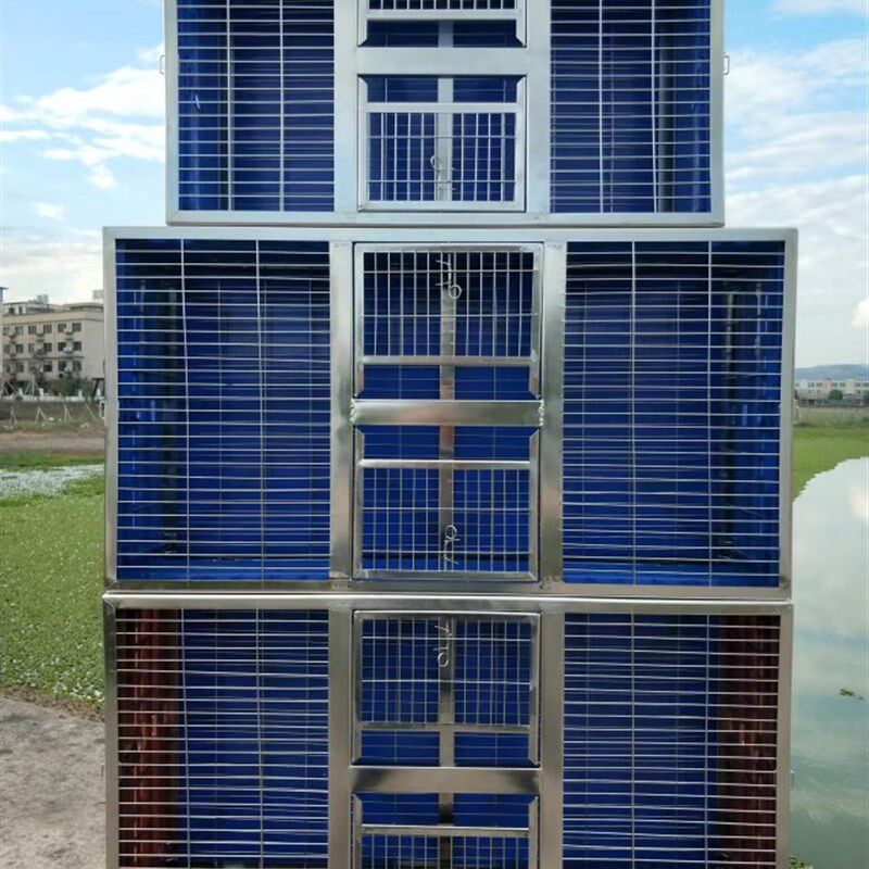 领航鸽子塑料放飞笼训放笼不锈钢折叠用品运输鸽具赛鸽信鸽鸽笼