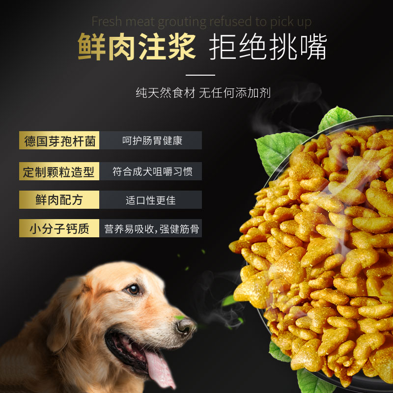 盖帝尔中大型成犬狗粮40斤装通用型金毛拉布拉多萨摩柴犬巨贵专用