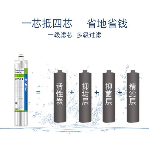 滨特尔爱惠浦净水器滤芯 4FC-LSPLUS