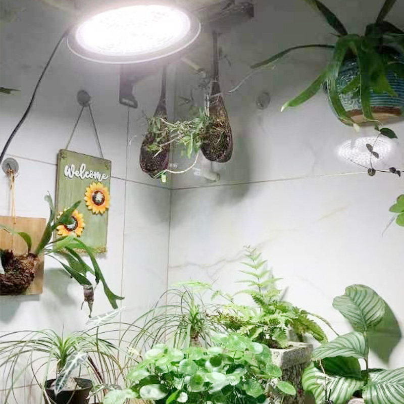 全光谱植物生长补光灯室内养兰花卉蔬菜阳台太阳光模拟灯仿太阳灯