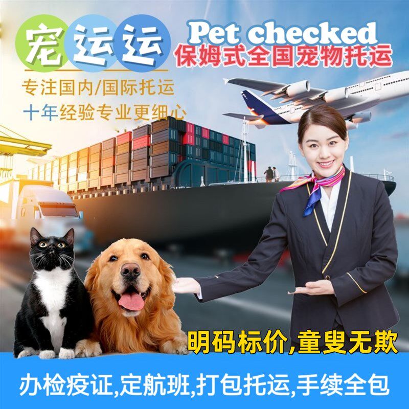 香港宠运运宠物托运狗狗猫咪出行活动体运输航空箱实体店