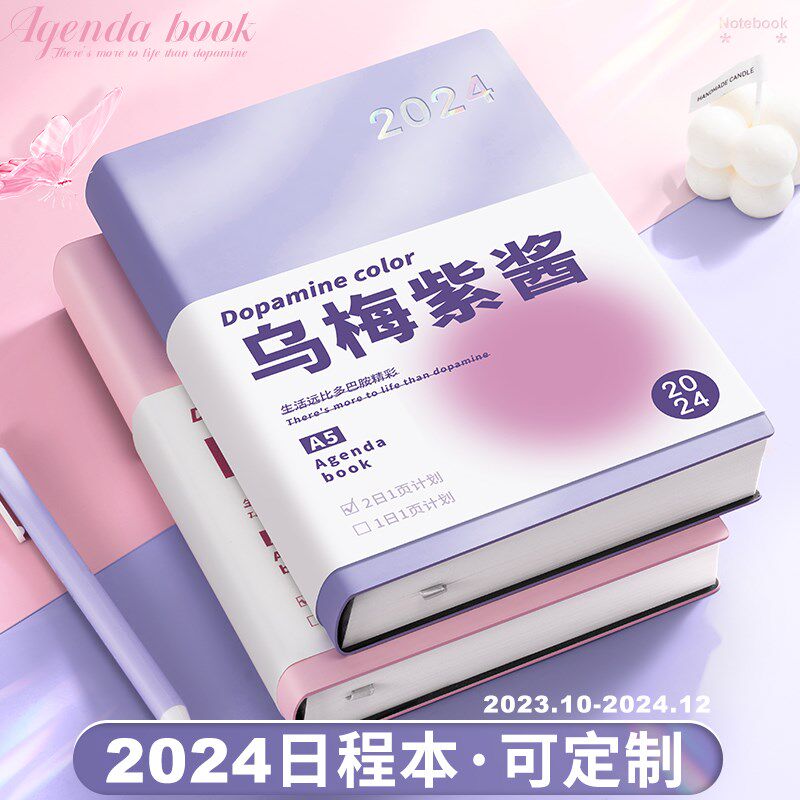 2024年日程本计划表新款笔记本子工作日志23年记事日记日历一日一