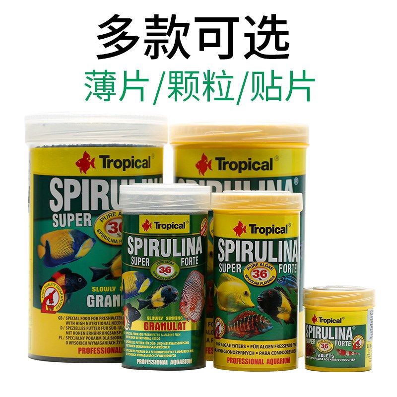 卓必客 卓比克 三湖慈鲷蝴蝶素食贴片鱼饲料龙王36螺旋藻薄片鱼食