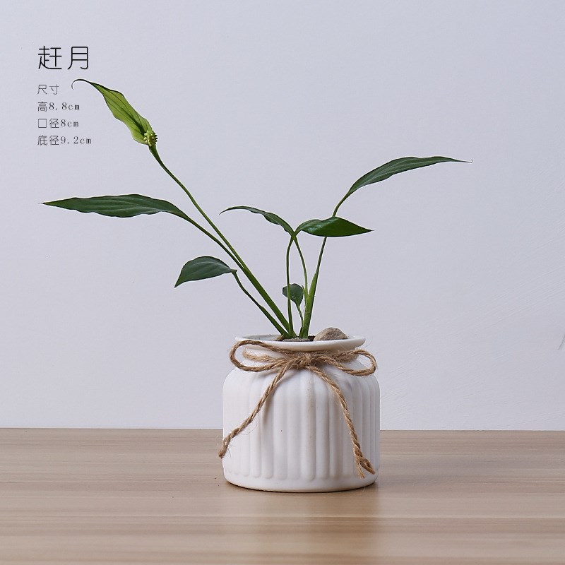 陶瓷干花花瓶小清新欧式餐桌水培白色摆件客厅插花满天星家居装饰图片