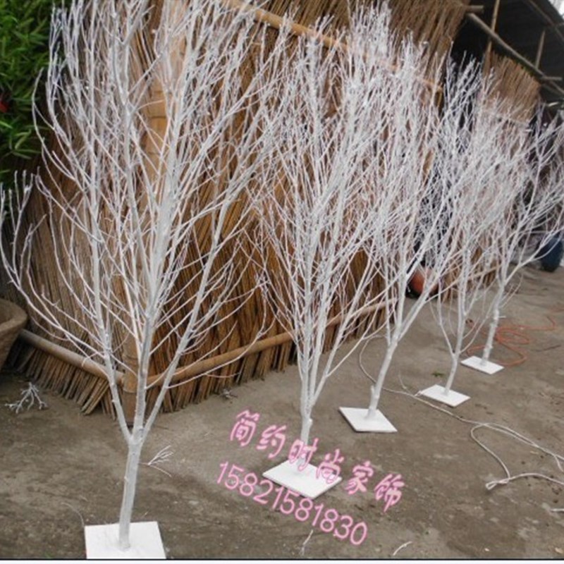 白树枝白树干装饰造型树婚庆影楼装饰树杈枯枝喷白树摆放圣诞树