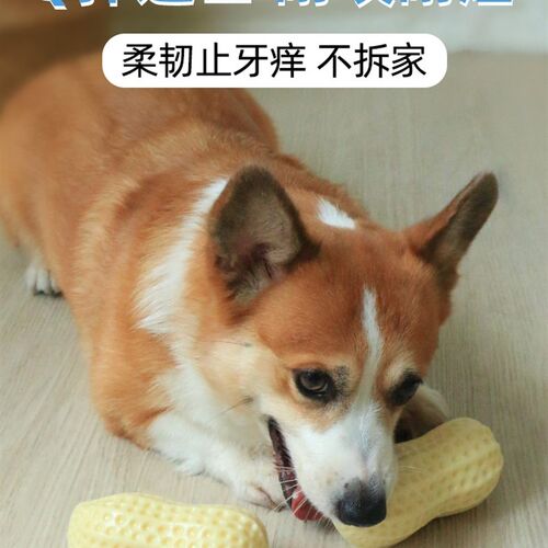 狗狗玩具发声花生金毛解闷神器耐咬磨牙柯基泰迪幼犬宠物小狗用品