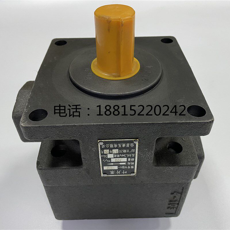 全新M7130H平面磨床油泵 平面磨床叶片泵YB1-100杭机桂北川磨配件