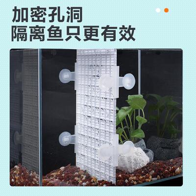加密鱼缸底板垫板龟缸底滤板沙水陆缸隔离板网格板造景隔板