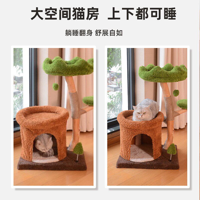 猫爬架实木猫窝猫树一体大猫专用猫咪爬柱树洞猫窝猫跳台猫咪爬架