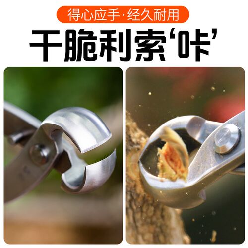 鼎木不锈钢球节剪球型钳球形枝剪刀专业盆景修剪造型制作专用工具