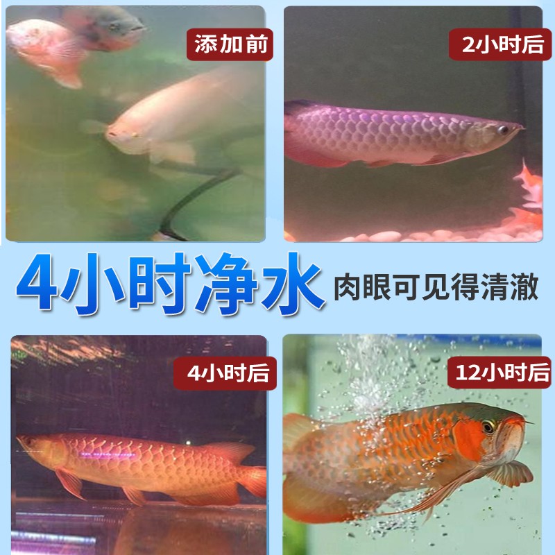 鱼缸净水剂水立清澄清鱼池水质清澈剂消毒杀菌清洁净化剂养鱼用品