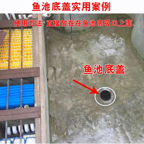 锦鲤鱼池水池底排口盖排水口盖水族过滤材料专用排污口盖池底飞碟