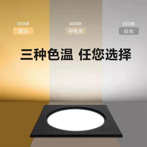 led格栅灯 15x15铝网格吊顶灯单双头10x20黑色葡萄架专用方形筒灯