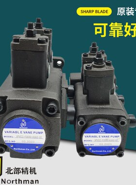 北部精机VPVCC-F3030-A3A3 A1A1 A2A2叶片泵F1515 F3030 F4040-02
