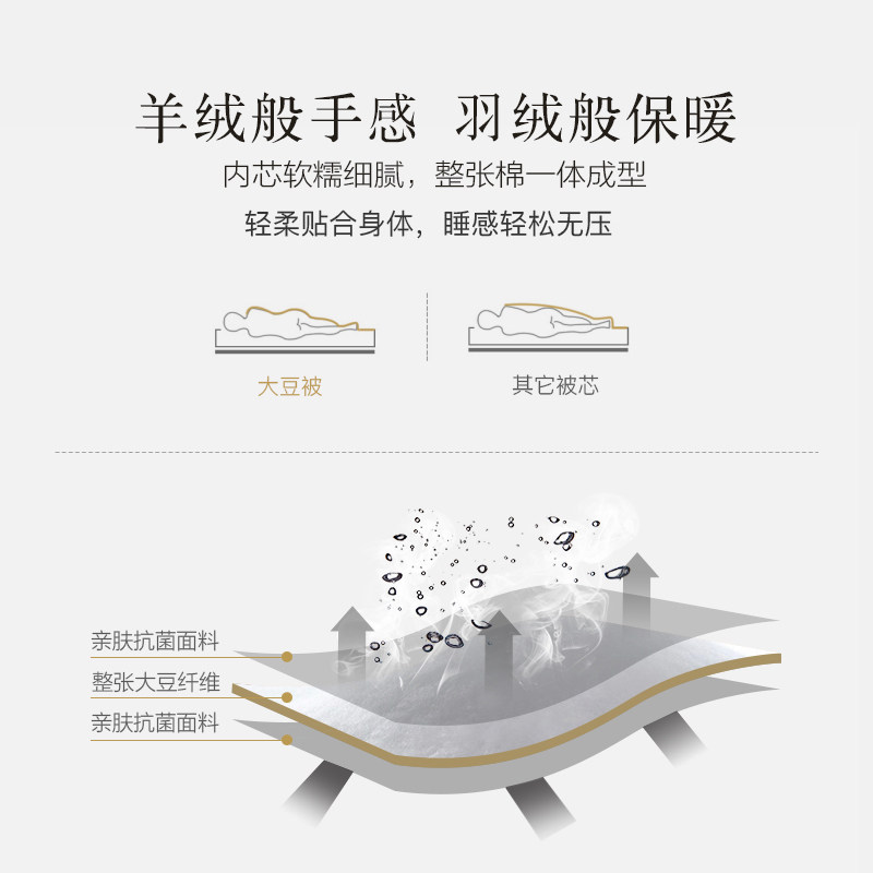 七孔大豆纤维被子被芯空调被单人四季通用春秋被子被凉被双人被褥