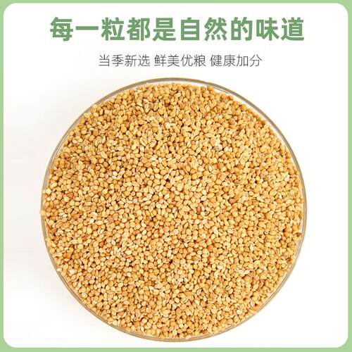 鹦鹉鸟食饲料带壳黄谷子虎皮玄凤鹦鹉混合营养粮食五色黍子